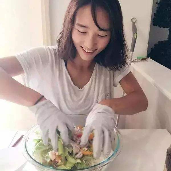 口袋数码兽ol手游百度版下载