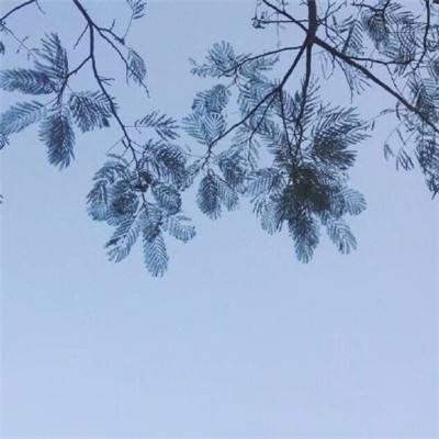 狐妖小红娘腾讯版下载